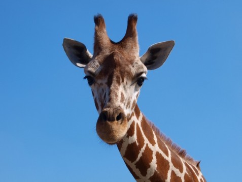 Dagje Aquazoo in Leeuwarden