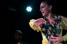 Cena y Flamenco en Madrid