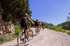 Tour di Valencia in bicicletta e in barca al tramonto