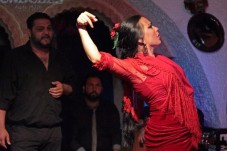 Flamenco and dinner for two