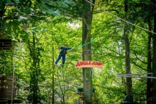Jungle Jump