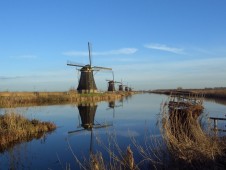 Windmill trip in Amsterdam