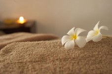 Massagem com Bambu (60 min.)