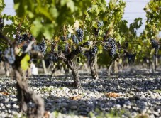 Séjour les Grands Vins de Bordeaux pour deux