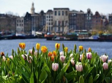 Sightseeing tour Amsterdam