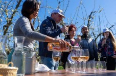 Majorque : Excursion d’une journée exclusive dans les vignobles avec dégustations – pour deux