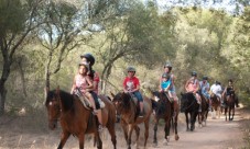 Horse riding, barbeque and cowboy evening excursion