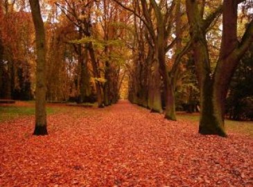 Experiences voor de herfst